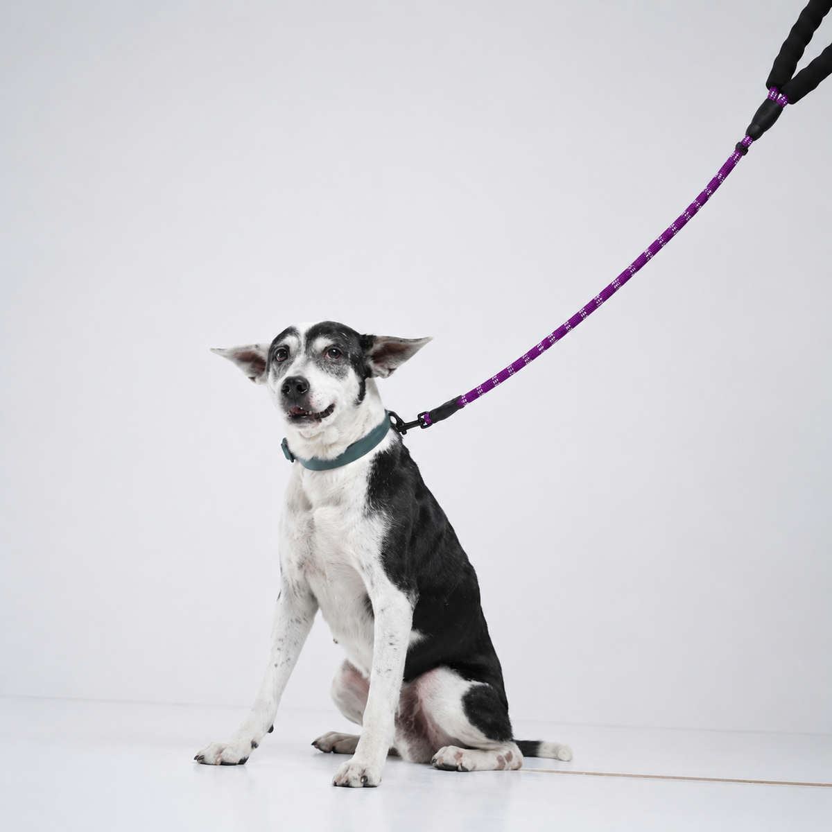 Reflective Rope Lead®