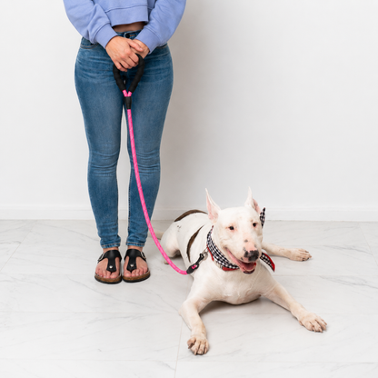 Reflective Rope Lead®