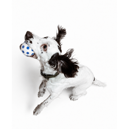 Indestructible Ball®
