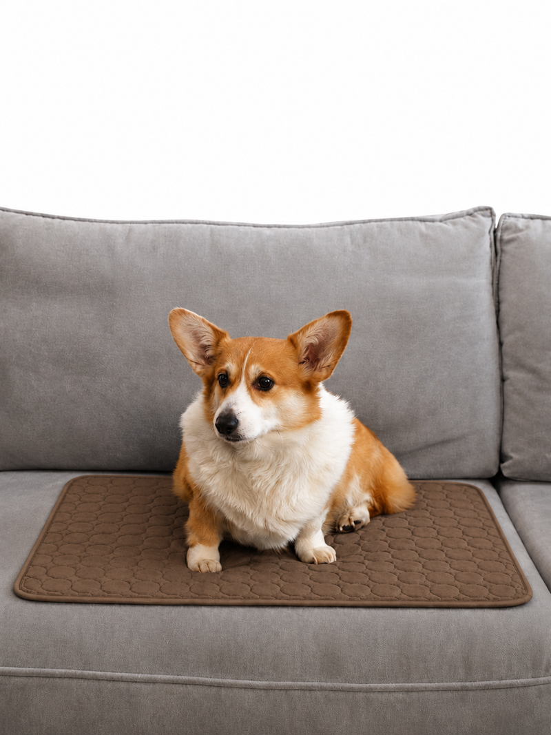 One mat for everywhere they go.