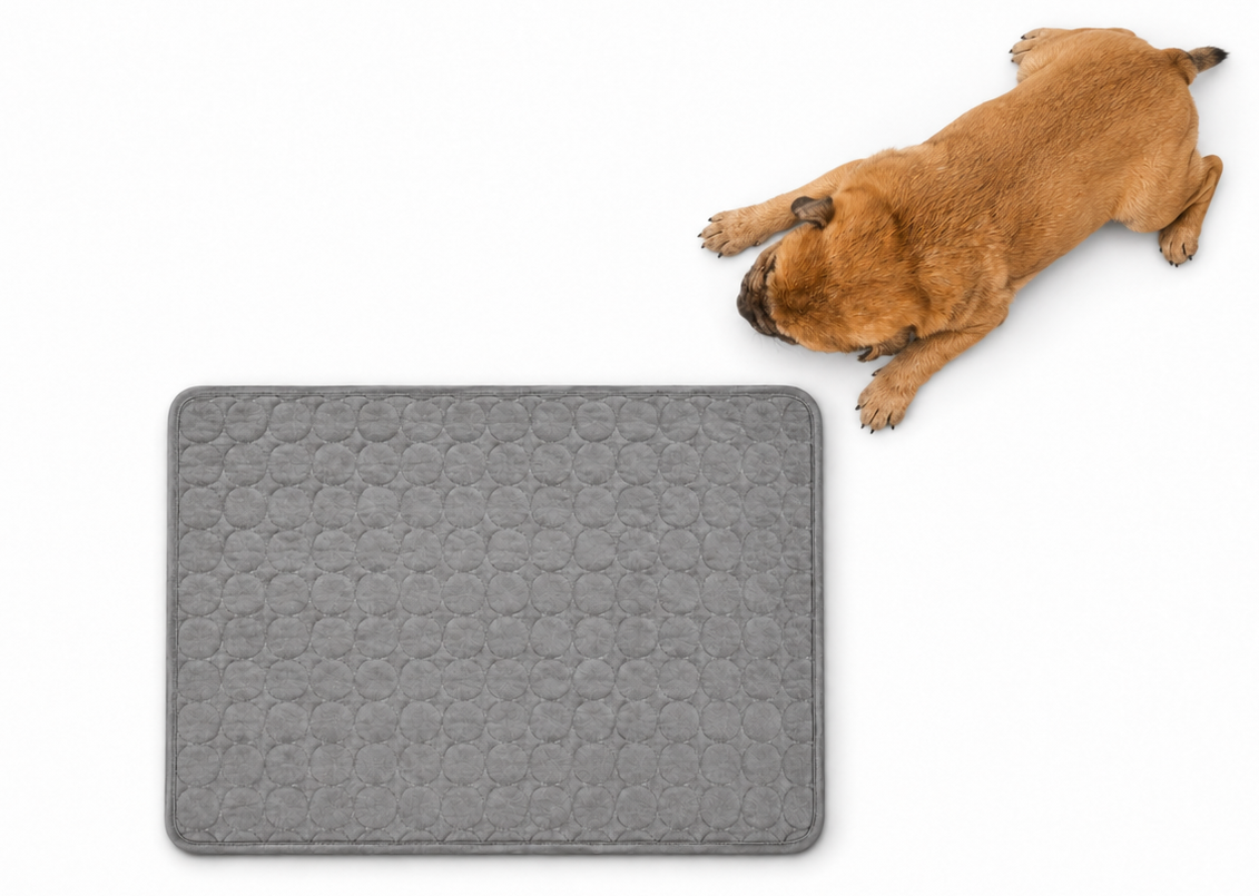 Available in 3 sizes to fit every breed, from small to extra large.