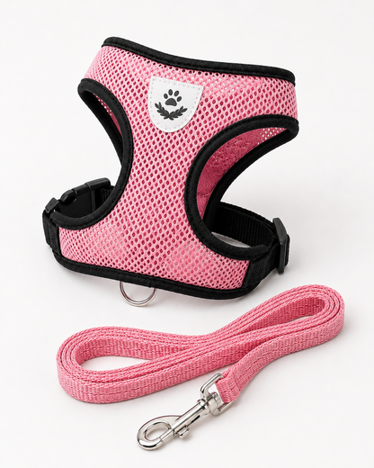 SafeStride™ Harness & Lead Set