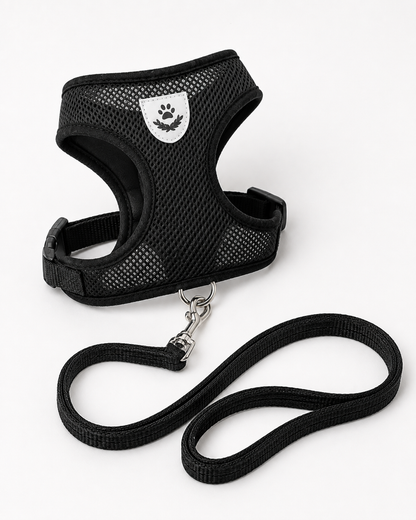 SafeStride™ Harness & Lead Set