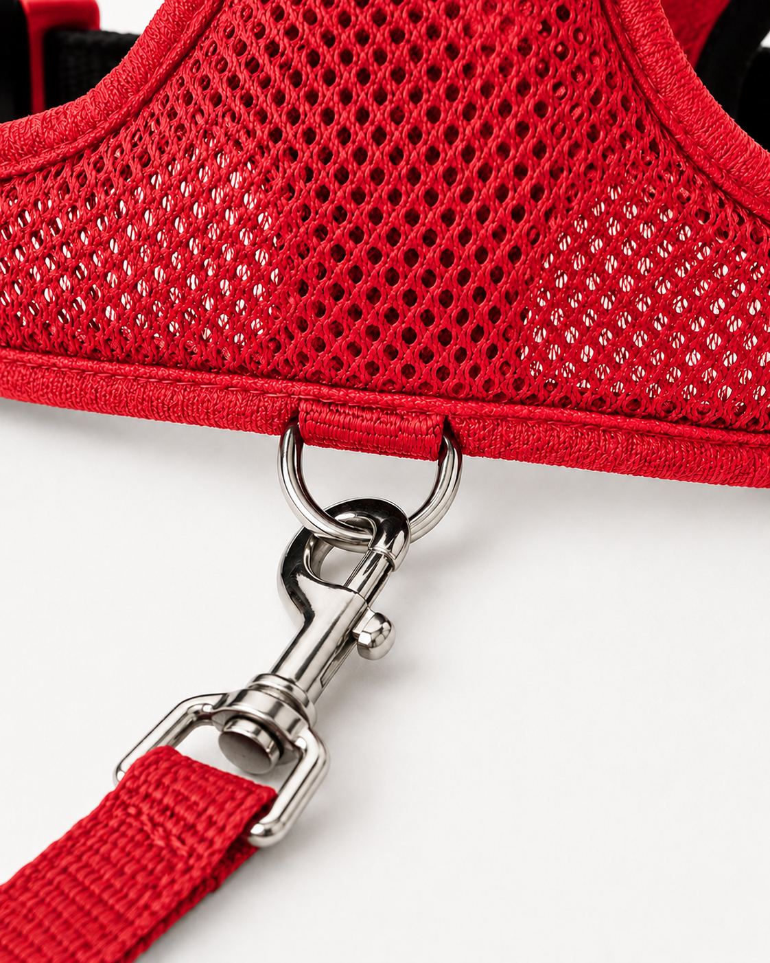 SafeStride™ Harness & Lead Set
