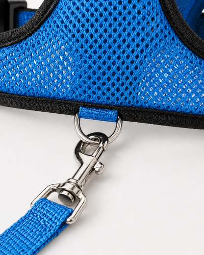 SafeStride™ Harness & Lead Set