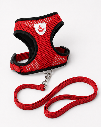 SafeStride™ Harness & Lead Set