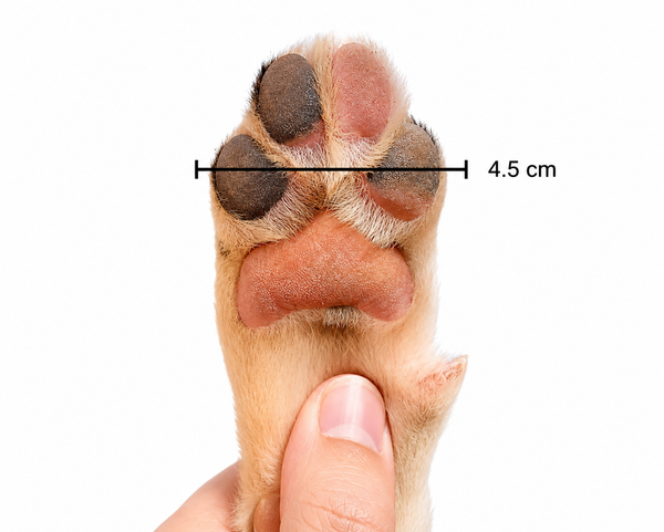The right fit makes all the difference. Check the size guide before you order.