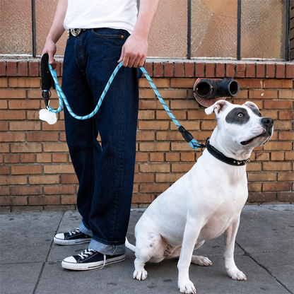 Reflective Rope Lead®