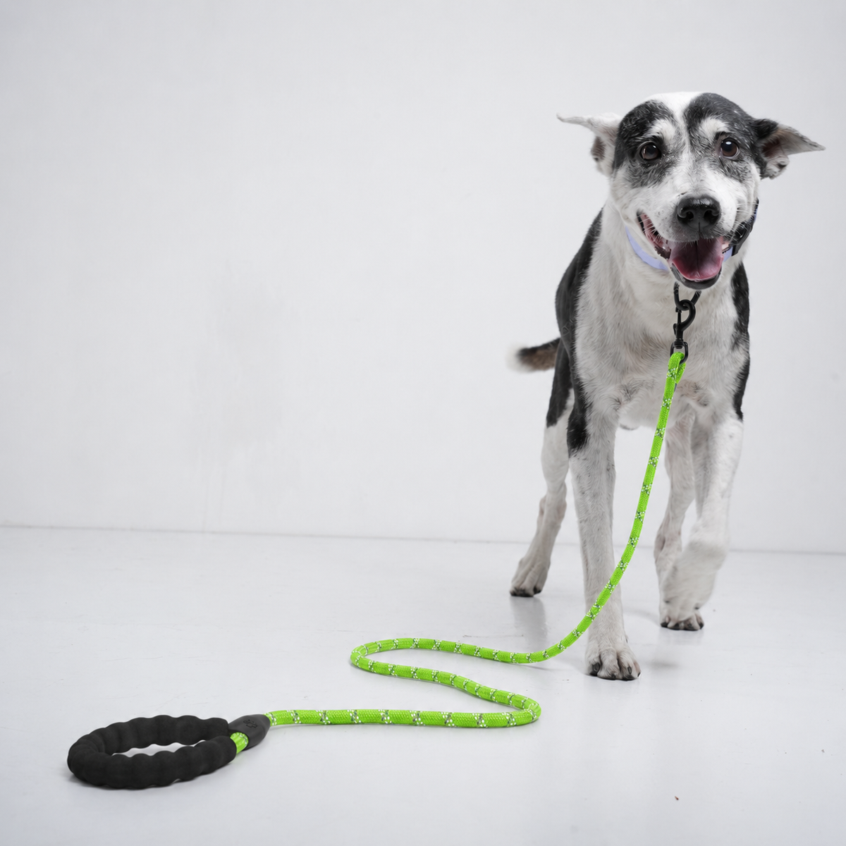 Reflective Rope Lead®