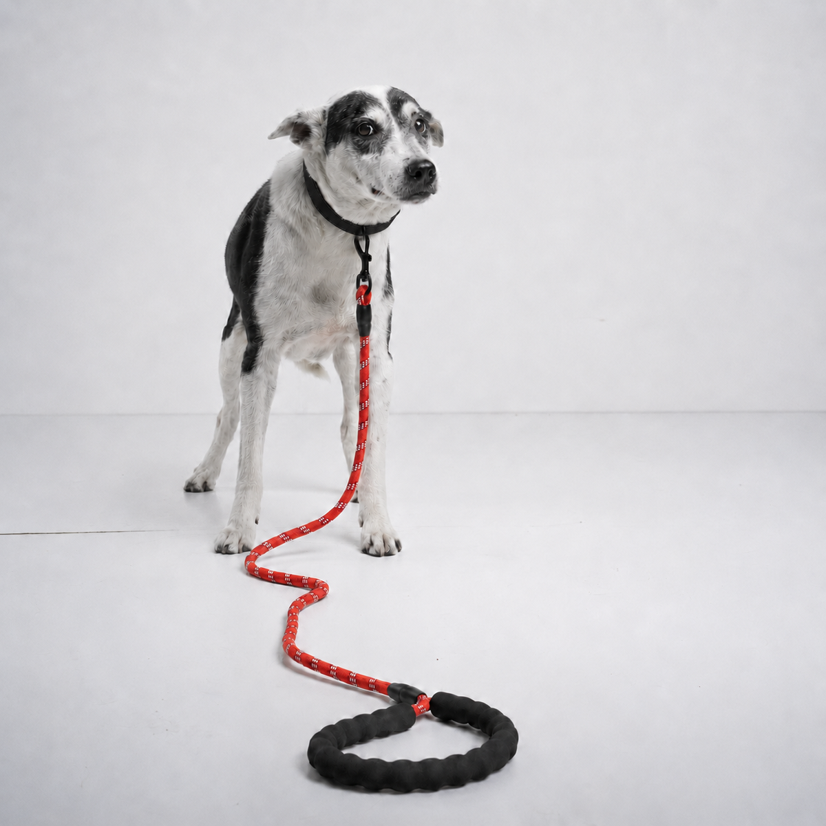 Reflective Rope Lead®