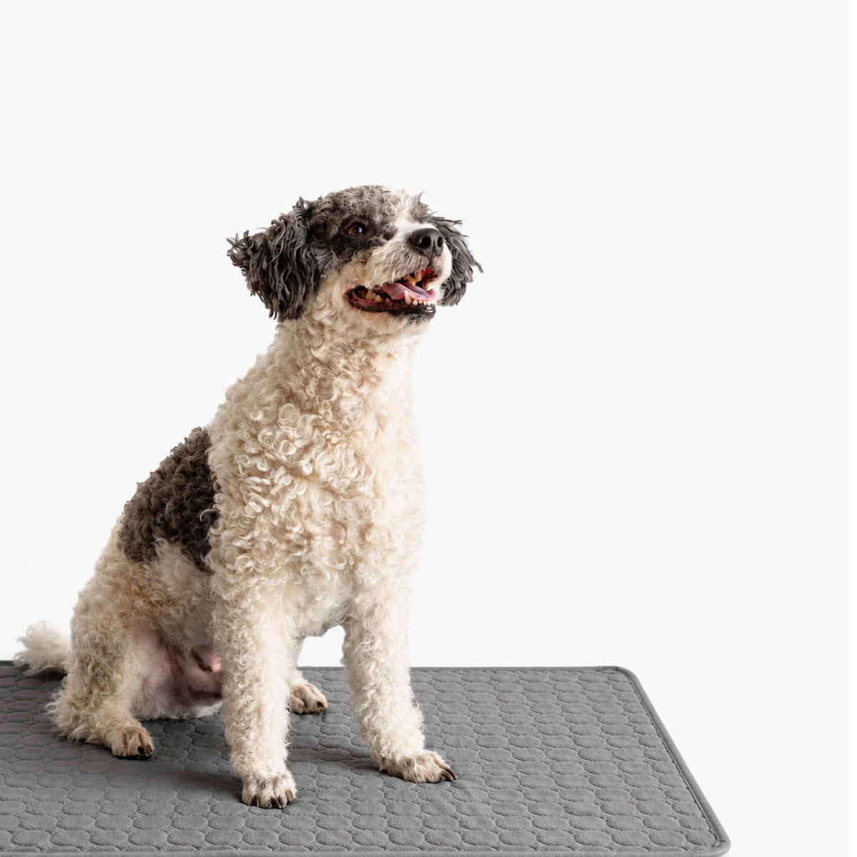 CoolPaw™ Cooling Mat