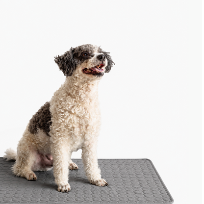 CoolPaw™ Cooling Mat