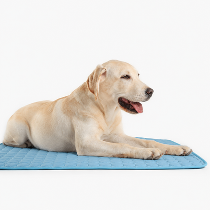 CoolPaw™ Cooling Mat