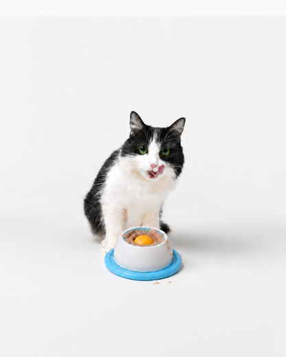 Interactive Lick Bowl®