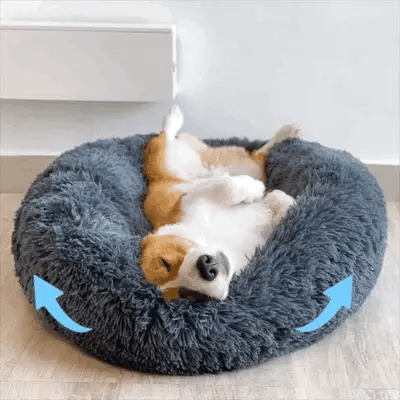 Sleeping on a Cloud.
