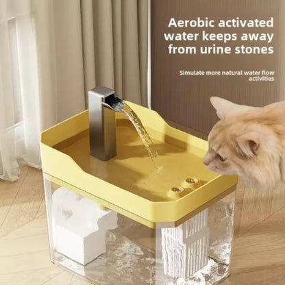 Transparent Cat Water Fountain - USB with Auto Filter