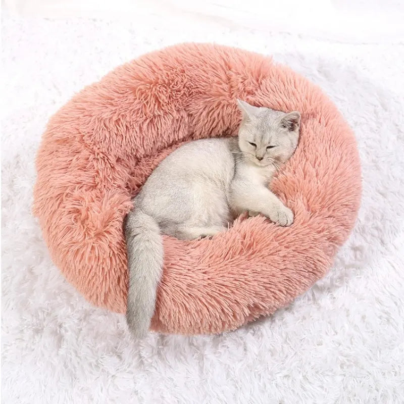 HomePaw Cozy Cloud Cat Bed - soft plush fabric texture detail close-up