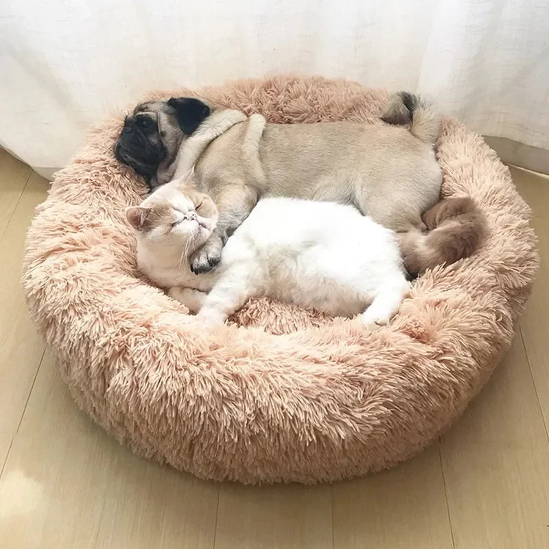 HomePaw Cozy Cloud Cat Bed - cat sleeping comfortably in plush cloud bed